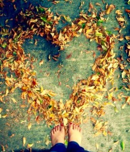 Groeifeest wildewortels lien van camp verhalenvertelster vieren van levensmomenten