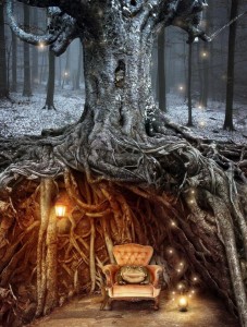 roots toad (Louise Wells)